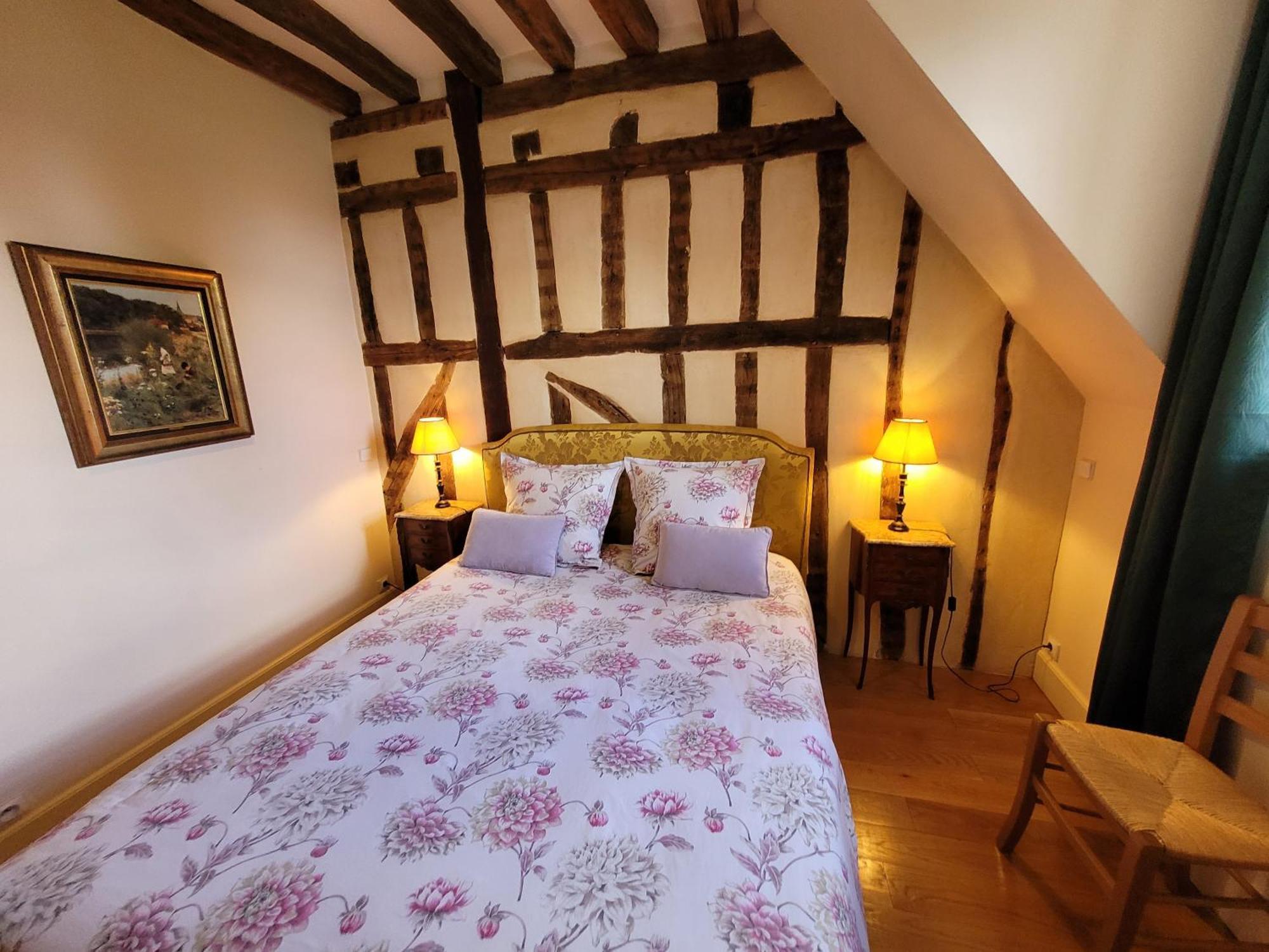 Saint-Eusebe Mansion - Hotel Particulier St-Eusebe Auxerre Zewnętrze zdjęcie