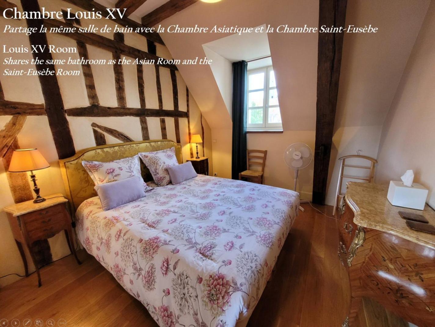 Saint-Eusebe Mansion - Hotel Particulier St-Eusebe Auxerre Zewnętrze zdjęcie