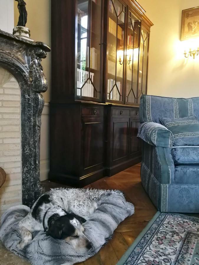 Saint-Eusebe Mansion - Hotel Particulier St-Eusebe Auxerre Zewnętrze zdjęcie